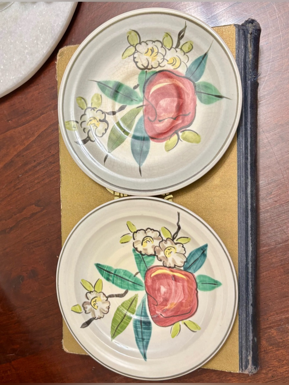 Red Wing pottery plate set of 2 Apple blossom design Hand painted saucer